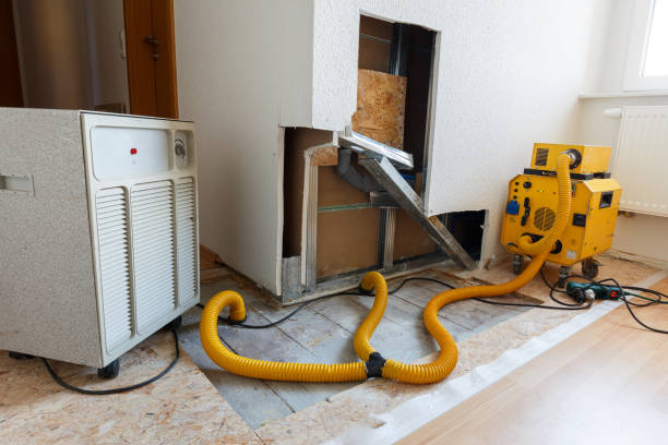  Aurora, SD Mold Removal Pros